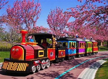 網紅小火車1